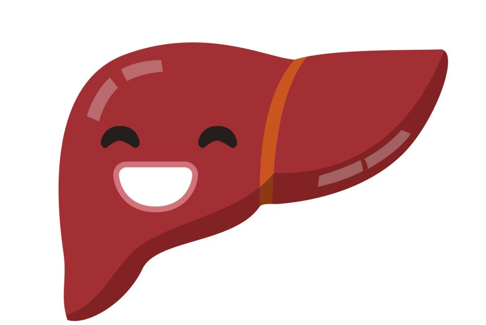 Digestive & Liver Health